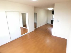 パインコート　ワコー 0201号-2