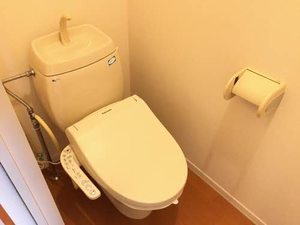 パインコート　ワコー 0201号-12