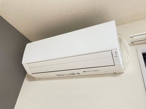 アドヴァンス 0201号-10