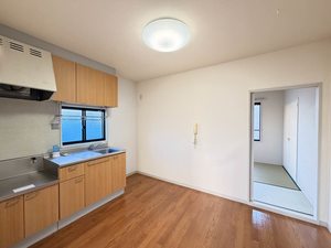 ディアス リヴェール 0201号-9