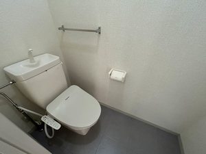 ホープタウン B102号-2