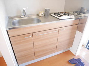 フラットルール B202号-3