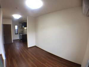 グリーン　パラソル 0103号-3