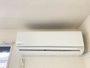 マイウェイディアス21 B202号-9