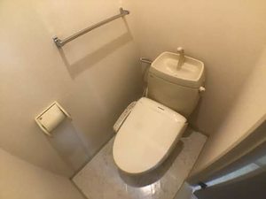 エルベ A101号-11