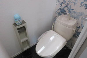 ヴェルドミールⅡ 2102号-9