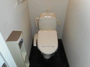 ダイヤモンドディアスmizuya D201号-4