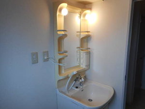 ダイヤモンドディアスmizuya D201号-5