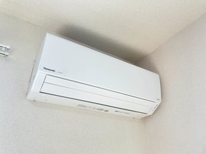ヴィラアルカディア 0202号-11