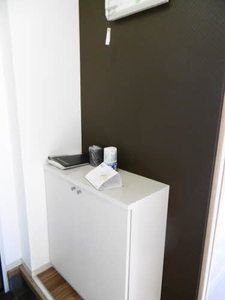 セントポーリア A103号-3