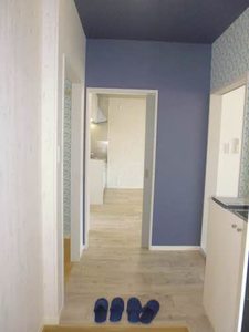 セントポーリア A202号-3