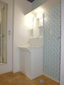 セントポーリア A202号-4