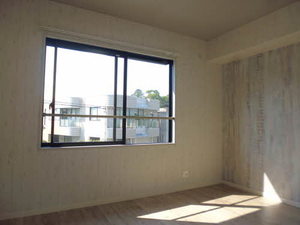 セントポーリア A202号-10