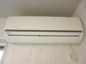 セントポーリア A202号-12