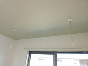 セントポーリア A202号-14