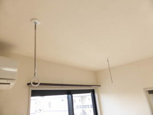 いちごハウス B202号-9