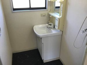 フレグランス白樺 0102号-8