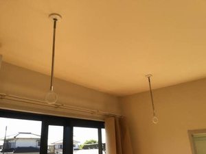 フレグランス白樺 0102号-11