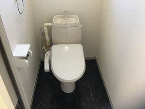 フレグランス白樺 0102号-13