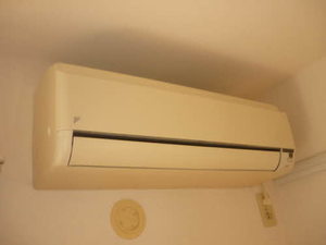 フレグランス白樺 0201号-4