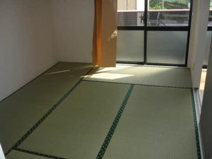 フレグランス白樺 0201号-5