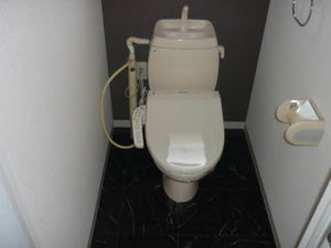 フレグランス白樺 0201号-9