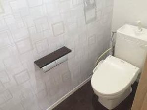 グランシャリオ川合 0203号-8