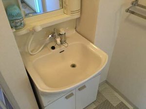 フレグランスホワイトハーベスト C202号-10