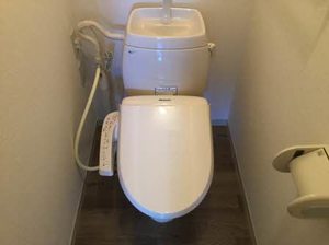 フレグランスホワイトハーベスト C202号-12