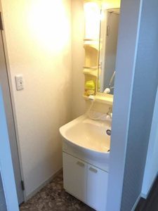 プラセール柳 0203号-3