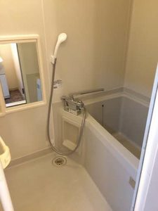 プラセール柳 0203号-4