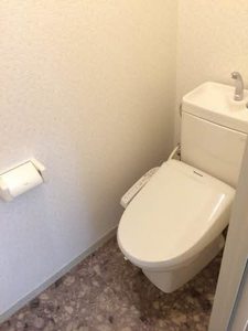 プラセール柳 0203号-5