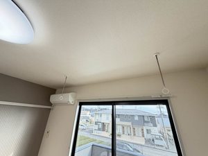 プラセール柳 0203号-13