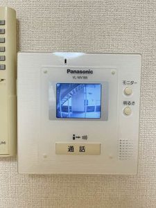 セントポーリア 0106号-2