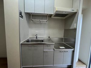 セントポーリア 0106号-3