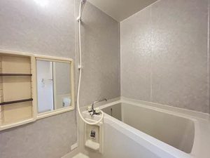 セントポーリア 0106号-6