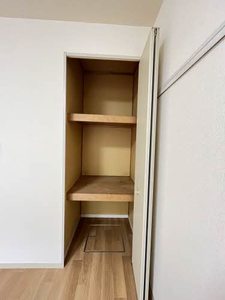 セントポーリア 0106号-11