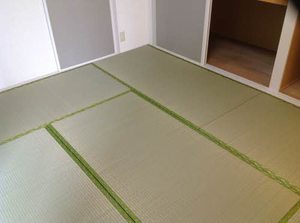 ディアコートイムズ B102号-12