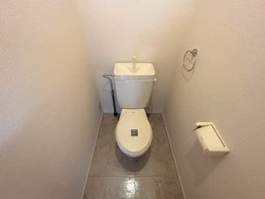 Ｄｏｌｃｅ新川 0202号-6