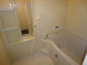 グレースマンション C202号-9