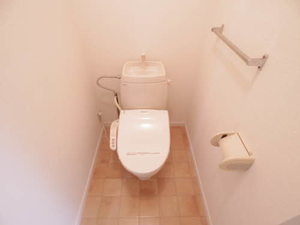 アベニールＳｈｉｎ A102号-13