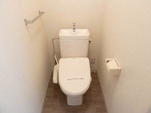 ハナミズキ安田２ G201号-11