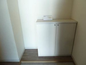 ハナミズキ安田２ G201号-12