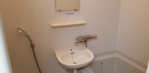 リトルビレッジＡ 0203号-5