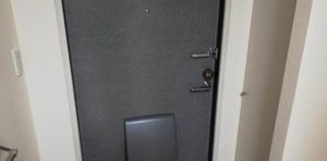 リトルビレッジＡ 0203号-6