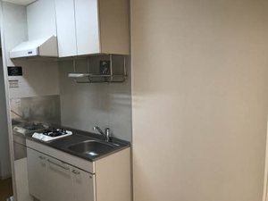 リトルビレッジＢ 0107号-8