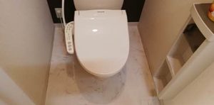 リトルビレッジＢ 0111号-8