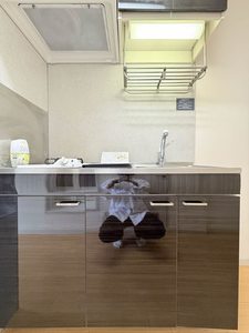 リトルビレッジＢ 0208号-8