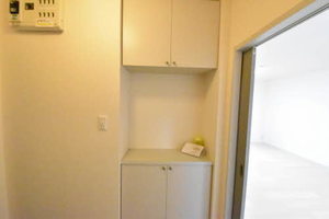 ディアスＫ－Ⅰ 0102号-8