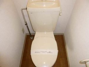 ヒルズウイング B202号-8